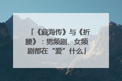 《藏海传》与《折腰》：男频剧、女频剧都在“爱”什么