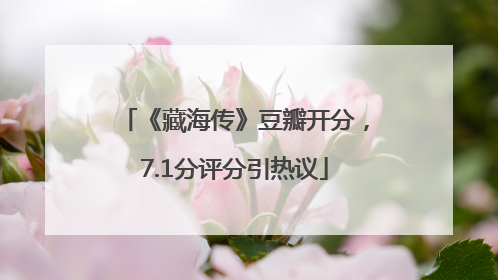 《藏海传》豆瓣开分，7.1分评分引热议