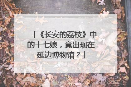 《长安的荔枝》中的十七娘，竟出现在延边博物馆？