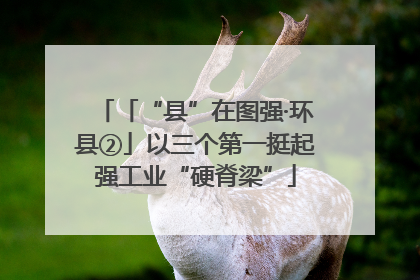 「“县”在图强·环县②」以三个第一挺起强工业“硬脊梁”