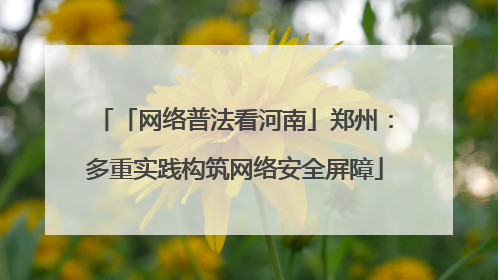 「网络普法看河南」郑州：多重实践构筑网络安全屏障