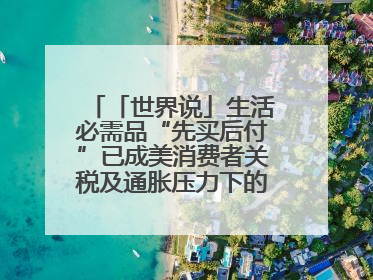 「世界说」生活必需品“先买后付”已成美消费者关税及通胀压力下的无奈抉择
