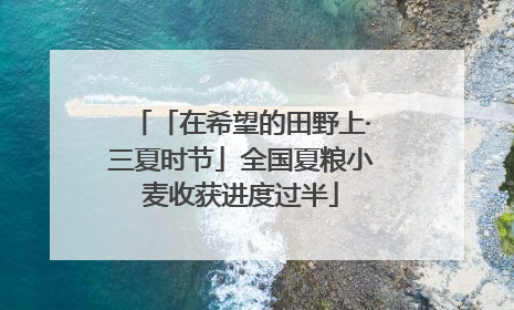 「在希望的田野上·三夏时节」全国夏粮小麦收获进度过半