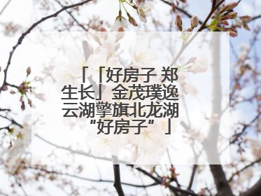 「好房子 郑生长」金茂璞逸云湖擎旗北龙湖“好房子”