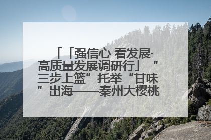 「强信心 看发展·高质量发展调研行」“三步上篮”托举“甘味”出海——秦州大樱桃高质量发展动作分解