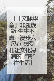 「文脉华章」非遗焕新 生生不息｜漫步六尺巷 感受礼让文化浸润的“巷”往生活