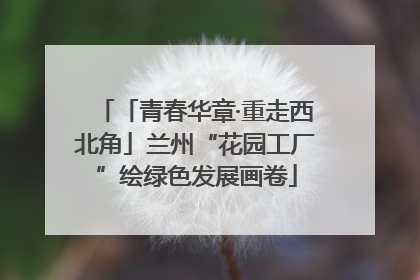 「青春华章·重走西北角」兰州“花园工厂”绘绿色发展画卷