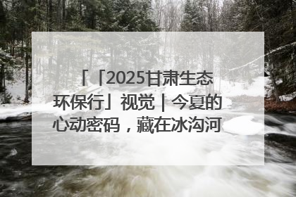 「2025甘肃生态环保行」视觉｜今夏的心动密码，藏在冰沟河的潋滟波光里