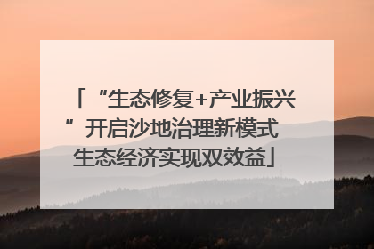 “生态修复+产业振兴”开启沙地治理新模式 生态经济实现双效益