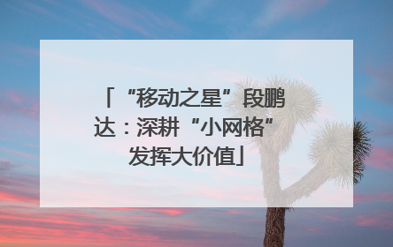 “移动之星”段鹏达：深耕“小网格” 发挥大价值