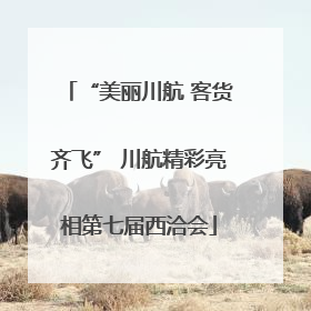 “美丽川航 客货齐飞” 川航精彩亮相第七届西洽会