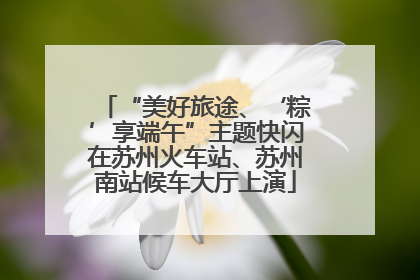 “美好旅途、‘粽’享端午”主题快闪在苏州火车站、苏州南站候车大厅上演