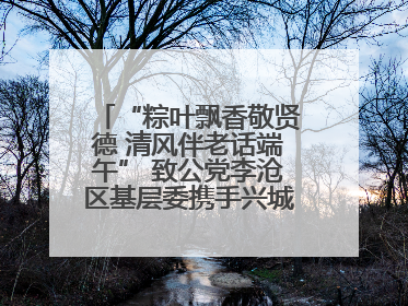 “粽叶飘香敬贤德 清风伴老话端午” 致公党李沧区基层委携手兴城路街道四流北路社区开展端午节主题活动