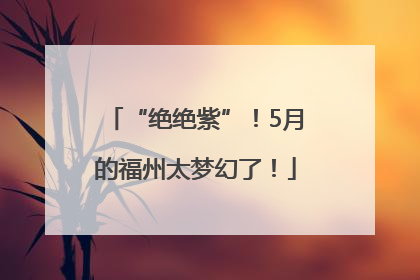 “绝绝紫”！5月的福州太梦幻了！