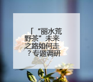 “丽水荒野茶”未来之路如何走？专题调研近日开展