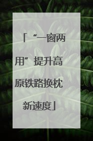 “一窗两用”提升高原铁路换枕新速度