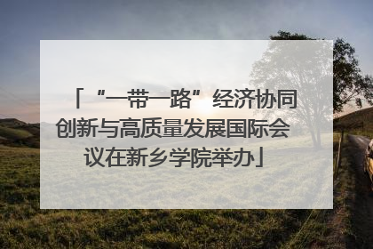 “一带一路”经济协同创新与高质量发展国际会议在新乡学院举办