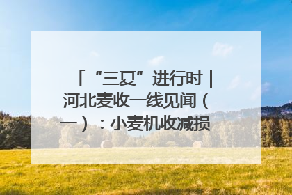 “三夏”进行时｜河北麦收一线见闻（一）：小麦机收减损“竞技” 农机高手麦田“过招”