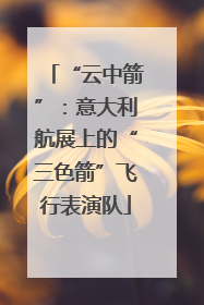 “云中箭”：意大利航展上的“三色箭”飞行表演队