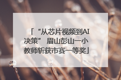 “从芯片视频到AI决策” 眉山彭山一小教师斩获市赛一等奖