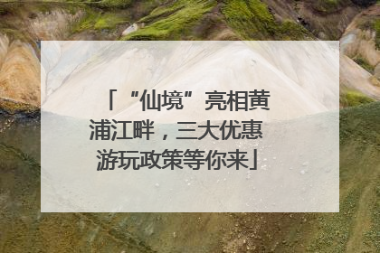 “仙境”亮相黄浦江畔，三大优惠游玩政策等你来