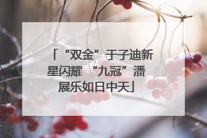 “双金”于子迪新星闪耀 “九冠”潘展乐如日中天