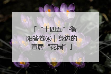 “十四五”·衡阳答卷④｜身边的宜居“花园”