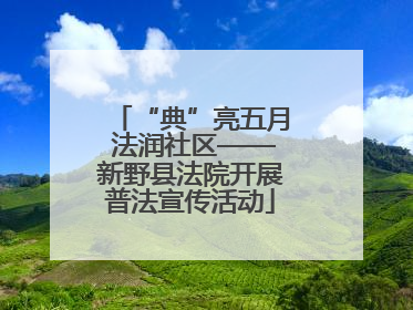 “典”亮五月 法润社区——新野县法院开展普法宣传活动