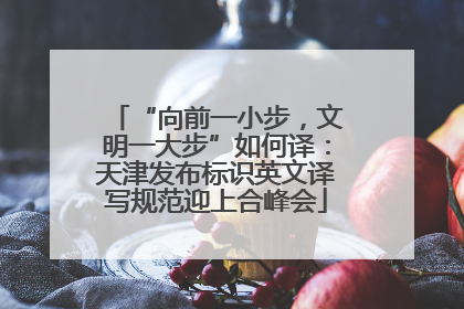 “向前一小步，文明一大步”如何译：天津发布标识英文译写规范迎上合峰会