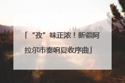 “孜”味正浓！新疆阿拉尔市奏响夏收序曲