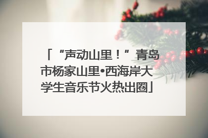 “声动山里！”青岛市杨家山里•西海岸大学生音乐节火热出圈