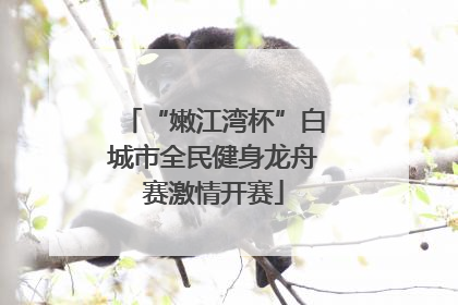 “嫩江湾杯”白城市全民健身龙舟赛激情开赛