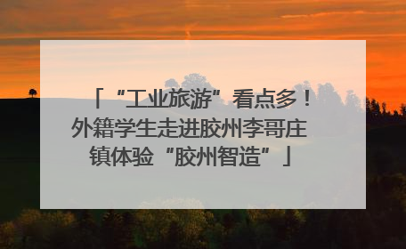 “工业旅游”看点多！外籍学生走进胶州李哥庄镇体验“胶州智造”