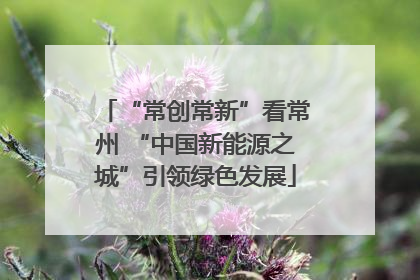 “常创常新”看常州 “中国新能源之城”引领绿色发展