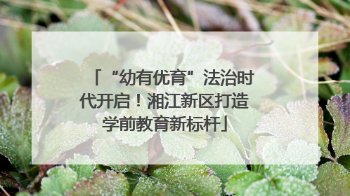 “幼有优育”法治时代开启！湘江新区打造学前教育新标杆
