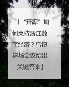 “开源”如何支持浙江数字经济？乌镇这场会议给出关键答案