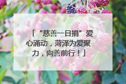 “慈善一日捐”爱心涌动，菏泽为爱聚力，向善前行！