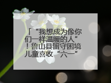 “我想成为像你们一样温暖的人”！鲁山县留守困境儿童喜收“六一”暖心礼
