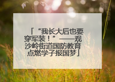 “我长大后也要穿军装！”——观沙岭街道国防教育点燃学子报国梦
