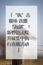 “执”击现场 直播“亮剑”！新野县法院开展集中执行直播活动