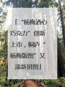 “杨梅酒心巧克力”创新上市，桐庐“杨梅版图”又添新拼图