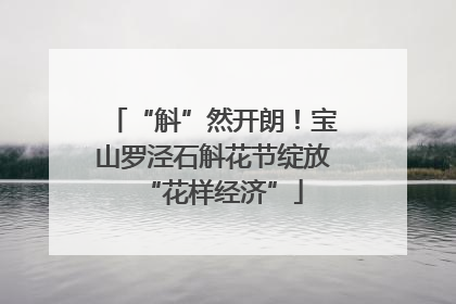 “斛”然开朗！宝山罗泾石斛花节绽放“花样经济”