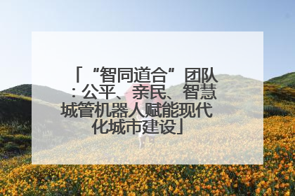 “智同道合”团队：公平、亲民、智慧城管机器人赋能现代化城市建设