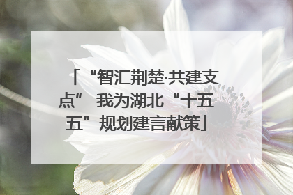 “智汇荆楚·共建支点” 我为湖北“十五五”规划建言献策