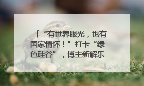 “有世界眼光，也有国家情怀！”打卡“绿色硅谷”，博主新解乐山｜网络名人四川行