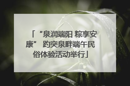 “泉润端阳 粽享安康” 趵突泉畔端午民俗体验活动举行