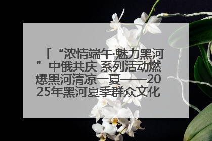 “浓情端午·魅力黑河”中俄共庆 系列活动燃爆黑河清凉一夏——2025年黑河夏季群众文化活动启幕 多元文化赋能边境文旅新高地