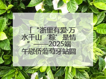 “浙里有爱·万水千山‘粽’是情”——2025端午慰侨葡萄牙站圆满举行