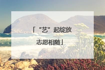 “艺”起绽放 志愿相随