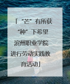 “芒”有所获 “种”下希望 滨州职业学院进行劳动实践教育活动